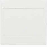 Cover Plate Blank 100X100