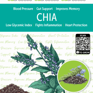 Seed Chia