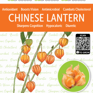 Seed Chinese Lantern