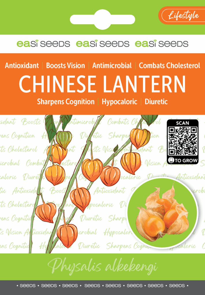 Seed Chinese Lantern