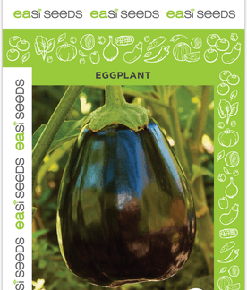 Seed Eggplant Black Beauty