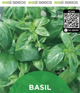 Seed Herbs Basil Genovese