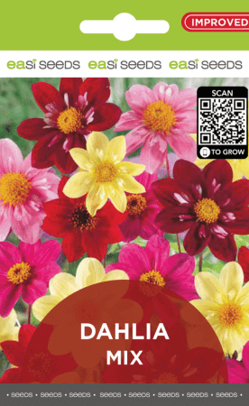 Seed Flower Dahlia Mix