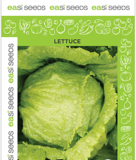 Seed Lettuce Great Lakes
