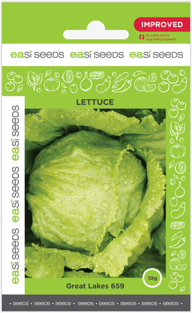 Seed Lettuce Great Lakes