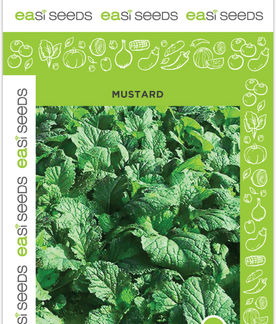 Seed Mustard Florida Broad Leaf