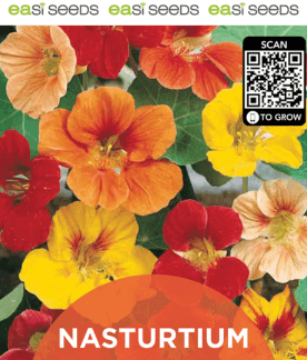 Seed Flower Nasturtium Climbing Mix