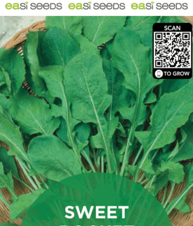 Seed Sweet Rocket