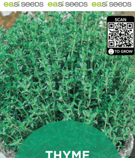 Seed Thyme