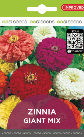 Seed Flower Zinnia Giant Mix