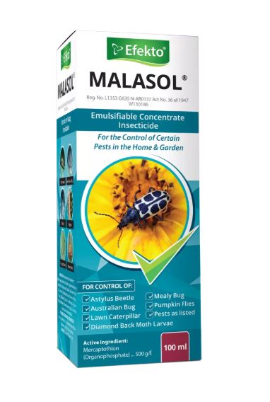 Efekto Malasol 100ml